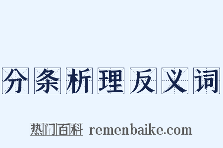 分条析理反义词是什么意思的图片